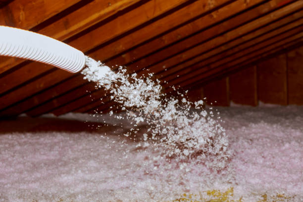 Best Insulation Installation Services in Peebles, OH